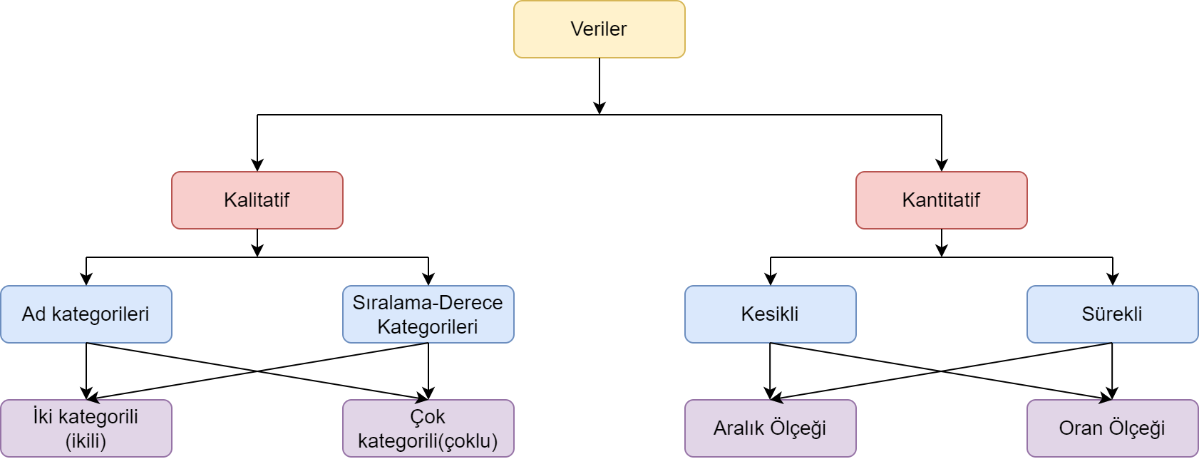 Veri Türleri Taksonomisi
